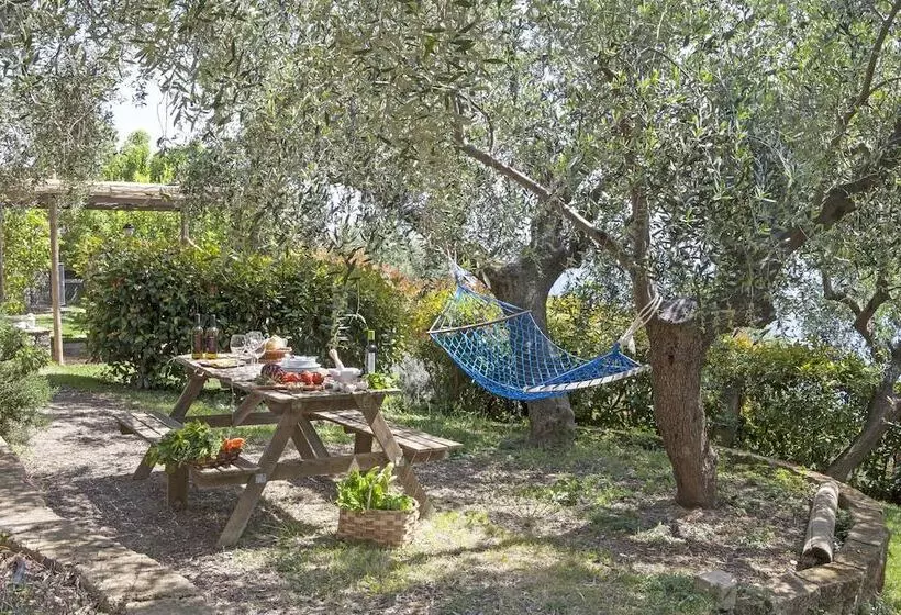 هتل Agriturismo Uliveto Saglietto