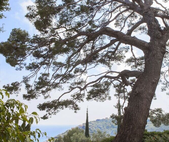 호텔 Agriturismo Uliveto Saglietto