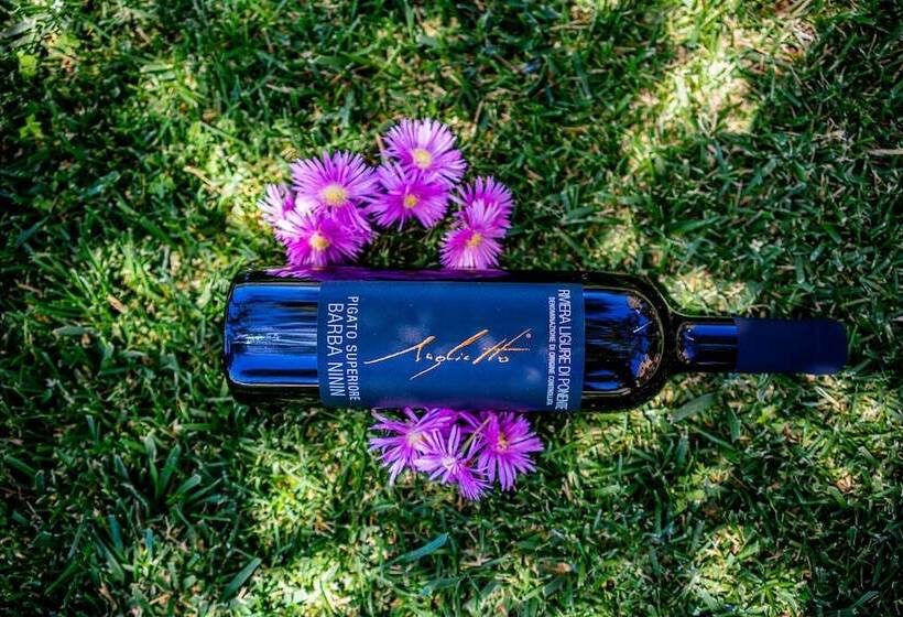 호텔 Agriturismo Uliveto Saglietto