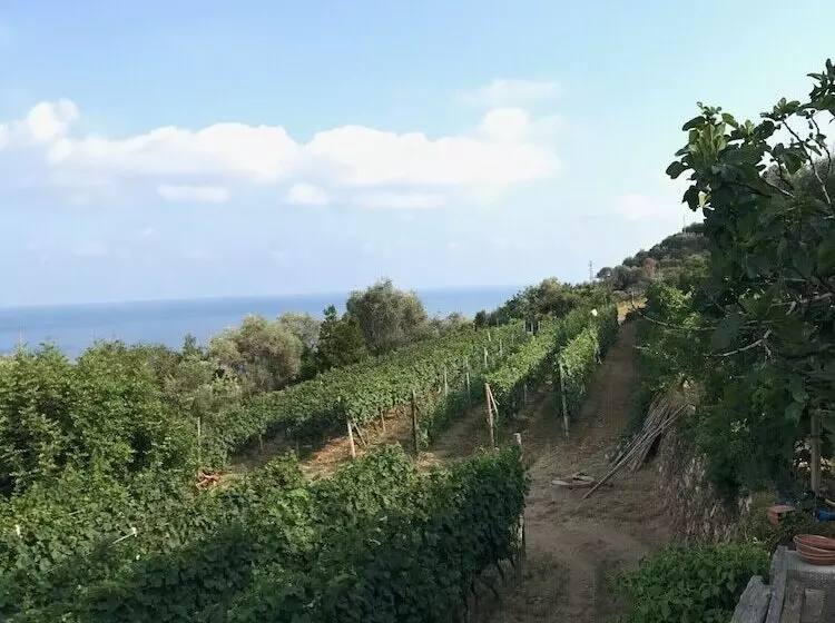 هتل Agriturismo Uliveto Saglietto