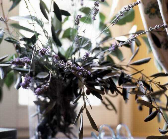 호텔 Agriturismo Uliveto Saglietto