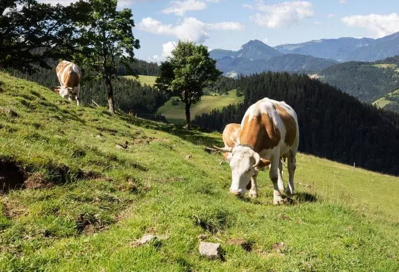 هتل Farmstay&glamping Visočnik