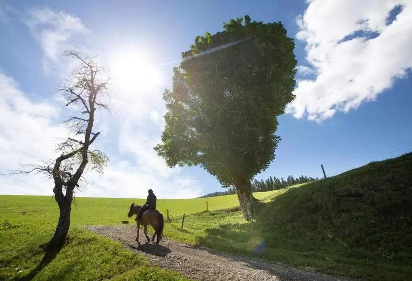 هتل Farmstay&glamping Visočnik