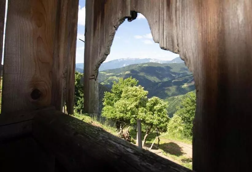 هتل Farmstay&glamping Visočnik