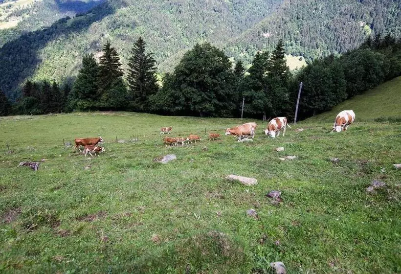 هتل Farmstay&glamping Visočnik