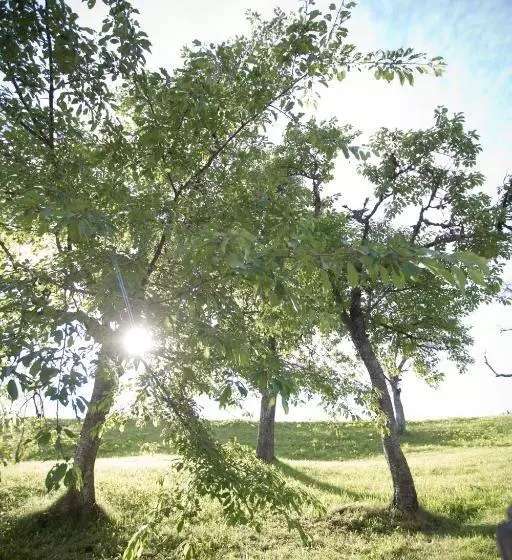 هتل Farmstay&glamping Visočnik