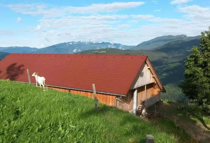 هتل Farmstay&glamping Visočnik