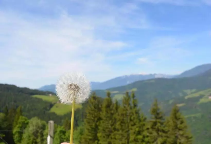 هتل Farmstay&glamping Visočnik