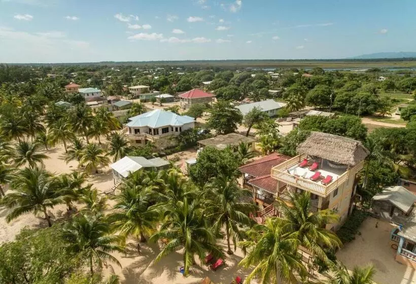 Majatalo Buttonwood Belize