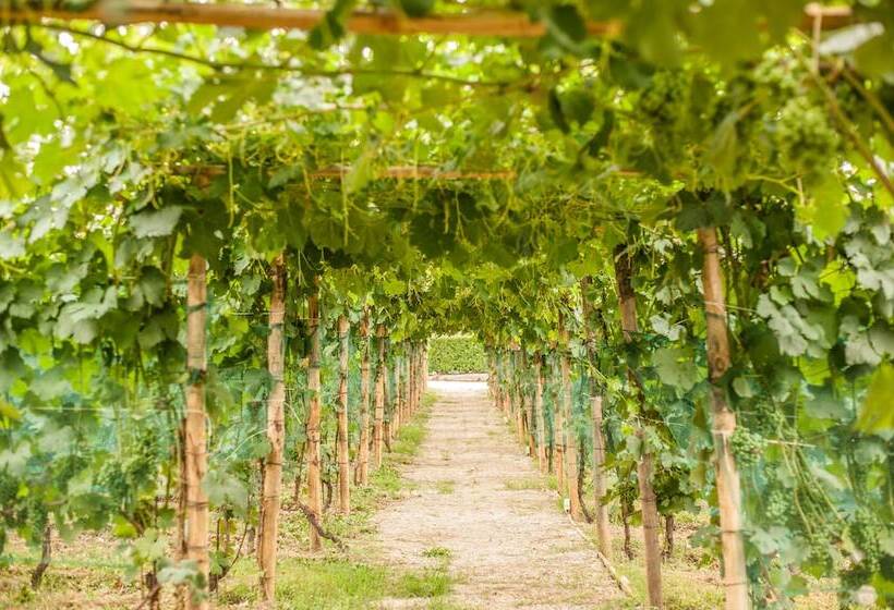 Пансион La Rosa Gialla Bio Apartments & Rooms