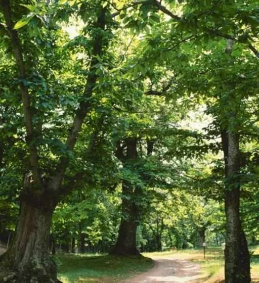 ホテル Agriturismo La Leggenda