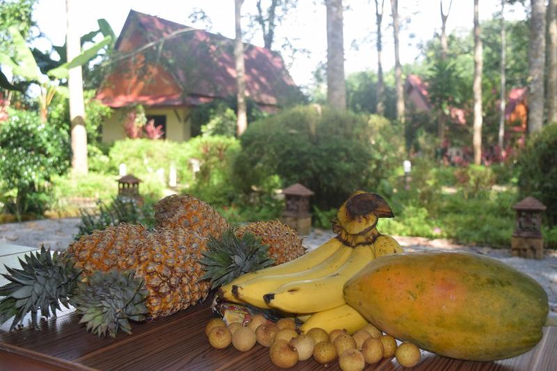 Pensão Manora Garden