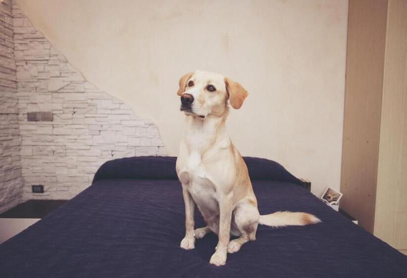 Residence Conchiglia Apart