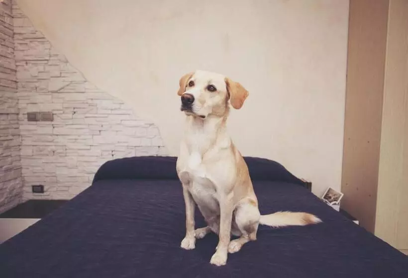 Residence Conchiglia Apart