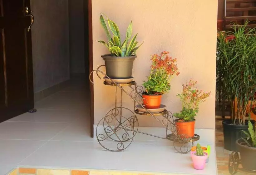 هاستل Apartamentos Mansión Tropical