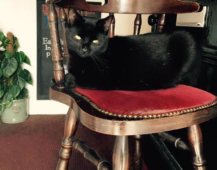 Общежитие The Ship Inn Fowey