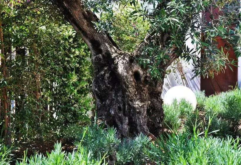 Apartaments B Llobet Sun & Confort