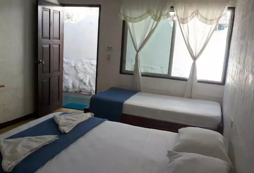 ペンション Hostal Darwin B&b