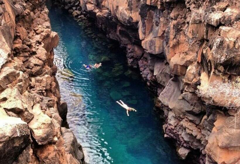 Pension Hostal Darwin B&b