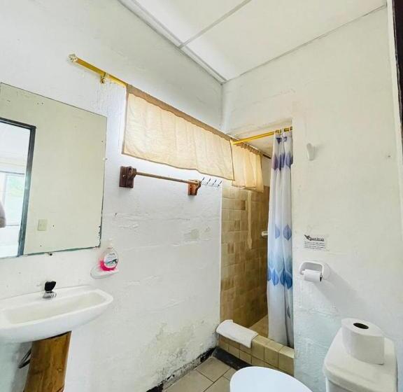 Pension Hostal Darwin B&b