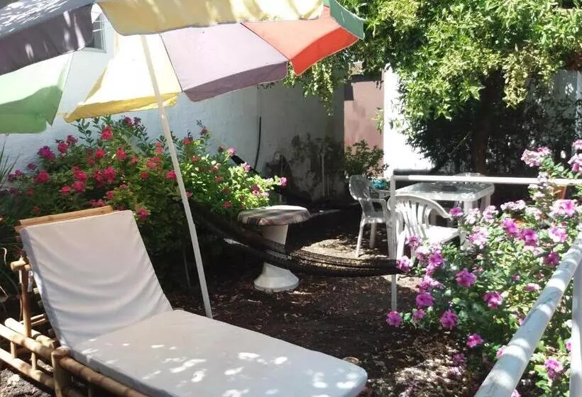 ペンション Hostal Darwin B&b