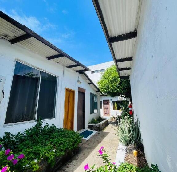 Pension Hostal Darwin B&b