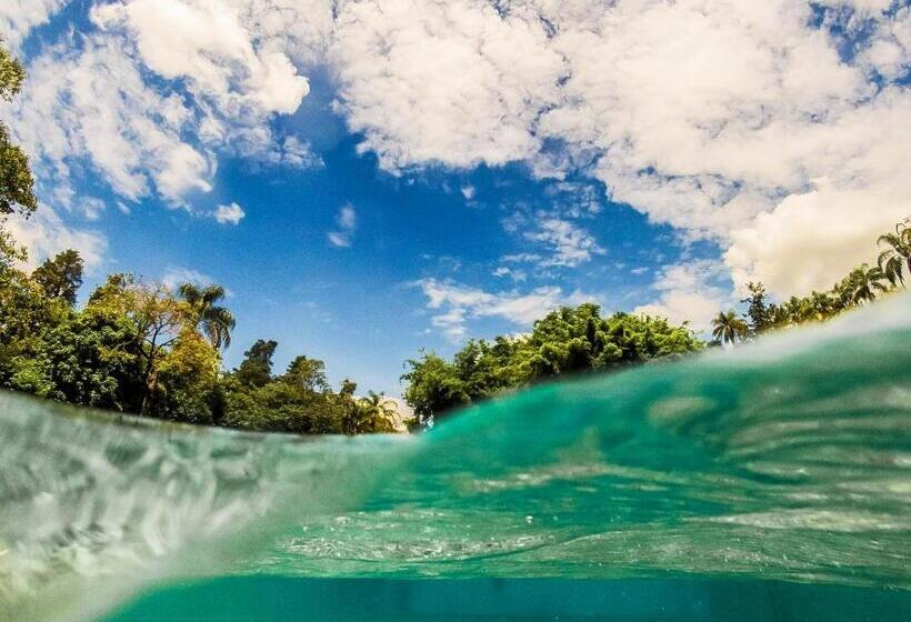 膳宿费 Pousada Nascentes Da Fortaleza, Antiga água Azul