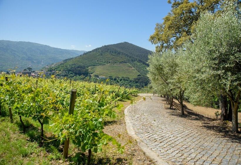 פנסיון Quinta Do Bosque