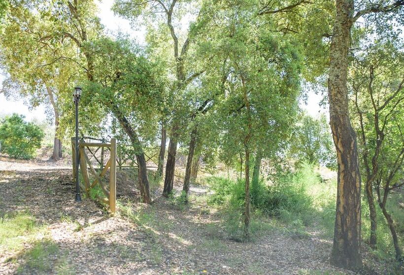 פנסיון Quinta Do Bosque