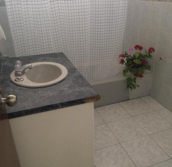 پانسیون Hostal Los Lagos Inn