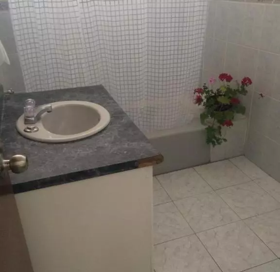 پانسیون Hostal Los Lagos Inn