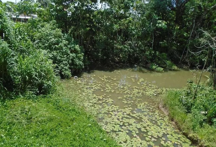 Hotelli Platinum Class