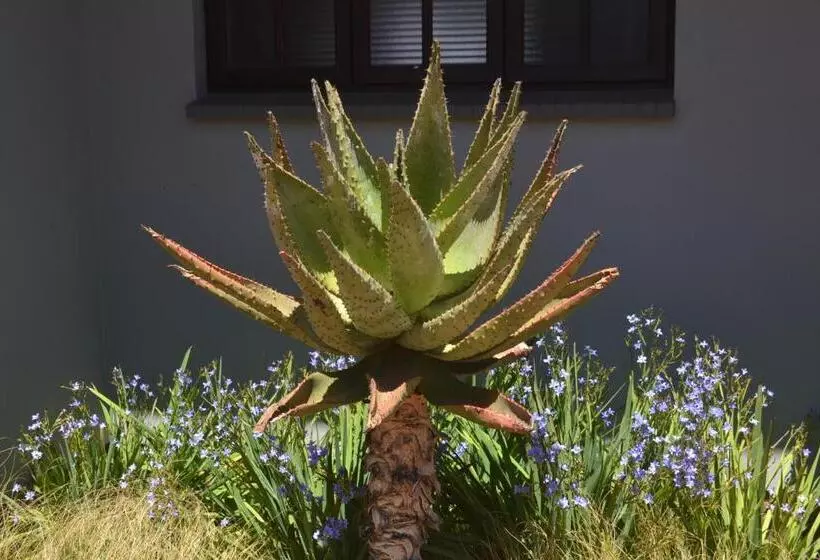 ペンション Be At Home Guesthouse