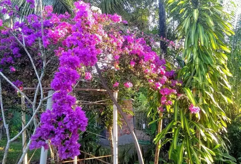 ペンション Recanto Solar Da Paz