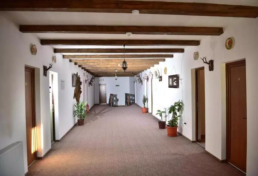 Pensiunea Doli