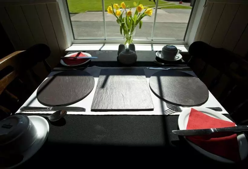 پانسیون Maenllwyd Guest House