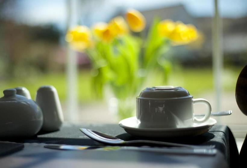 Pensionat Maenllwyd Guest House