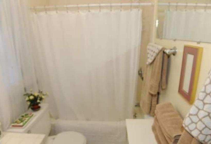 הוסטל The Giraffe