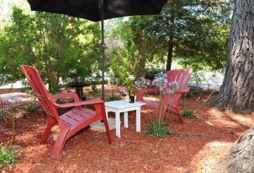 הוסטל The Giraffe