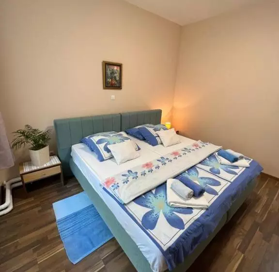 پانسیون Bezdan Guesthouse