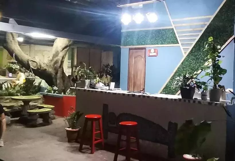 پانسیون Chambres En Ville