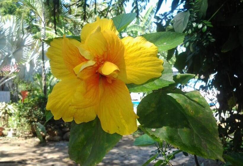 Pensionat Chambres En Ville