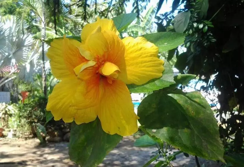 پانسیون Chambres En Ville