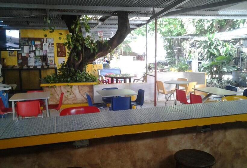 Pensionat Chambres En Ville