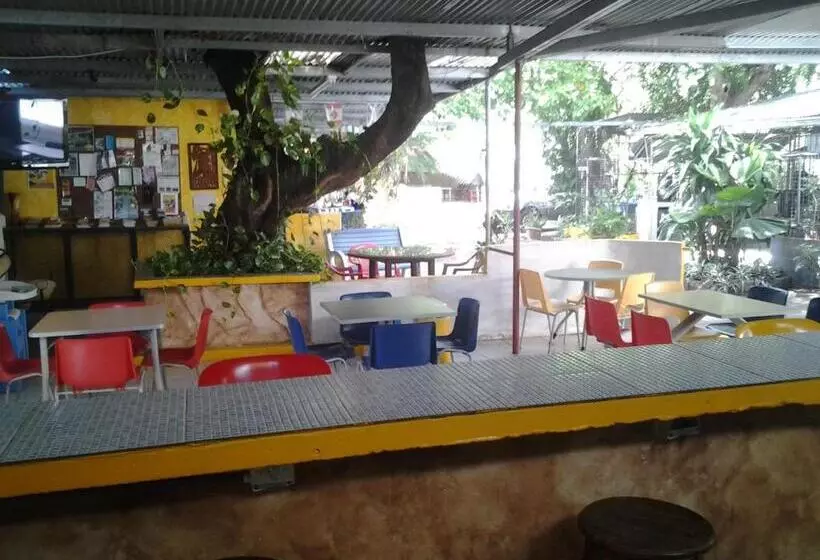 پانسیون Chambres En Ville