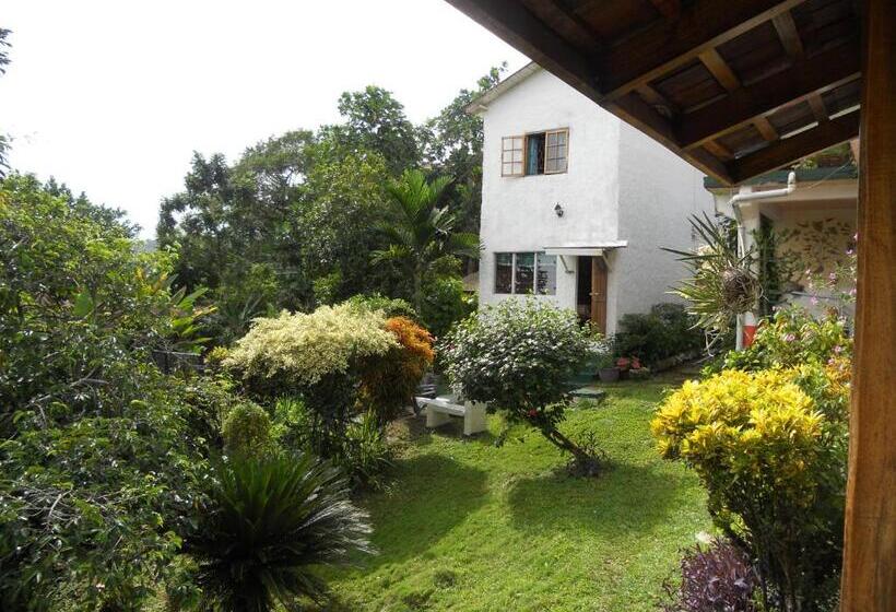 پانسیون Drapers San Guest House