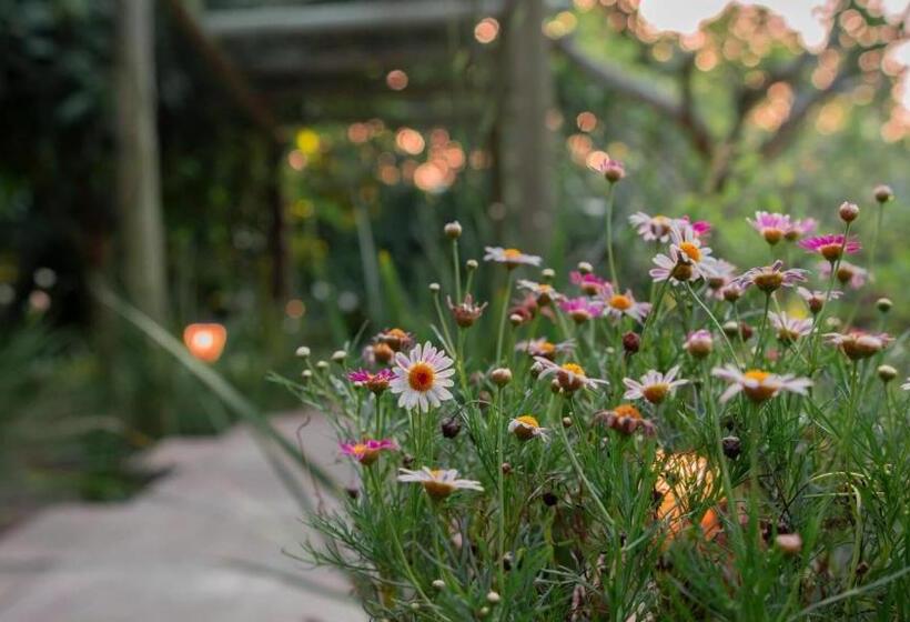 Pensjonat Morada Das Bromelias