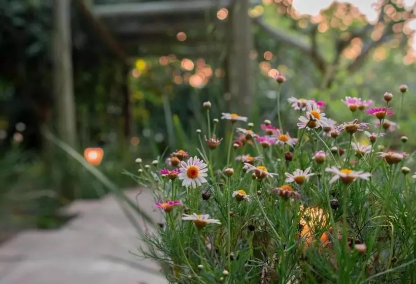 Majatalo Morada Das Bromelias
