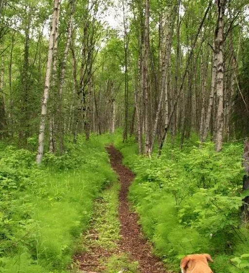 Majatalo Eagle Peak Guesthouse