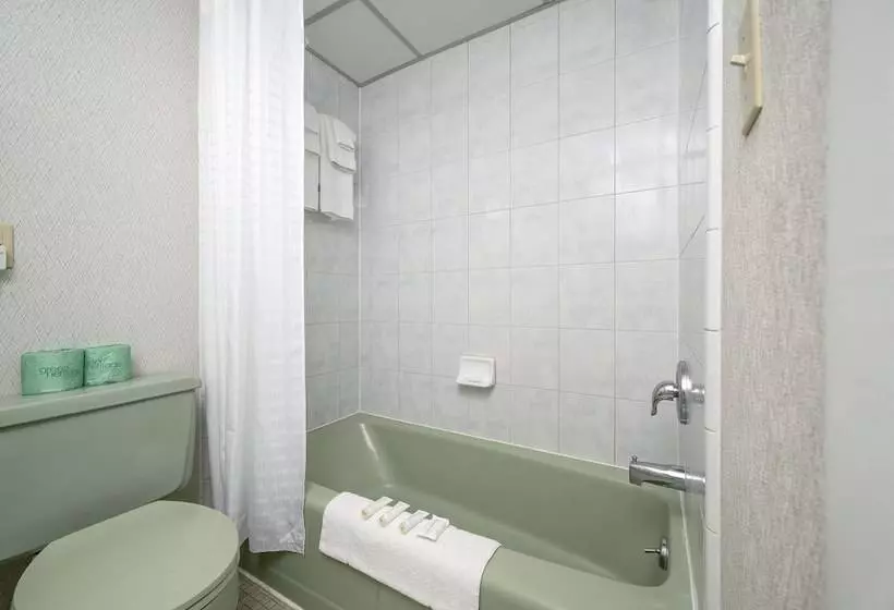 モーテル Kokomo Suites